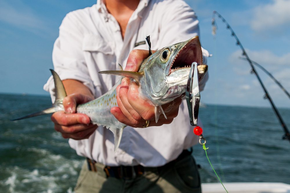 An avid angler poses with a mackerel caught aboard a Clearwater, Florida, Fishing Charter